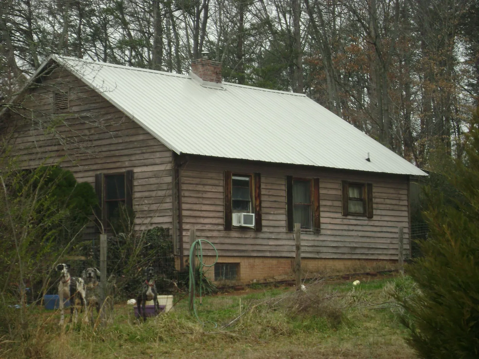White metal roof on an old wood sided farmhouse, from a Metal Roof Installation job in Denver